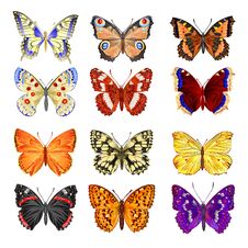 Butterflies Various Mountain Meadow And Forest Butterflies Environment Watercolor Vintage On A White Background Vector Stock Images