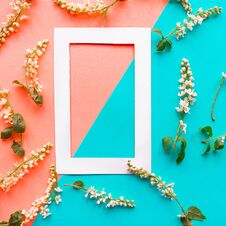 Mockup Photo Frame And Blooming Spring Branches On Geometric Blue And Pink Background. Flat Lay Top View Copy Space. Springtime Co Royalty Free Stock Image