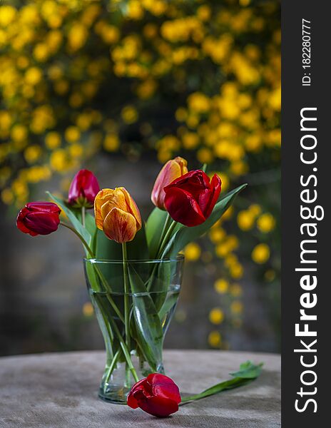 Bouquet of fresh tulips in a transparent vase. Vertical image. Bouquet of fresh tulips in a transparent vase. Vertical image