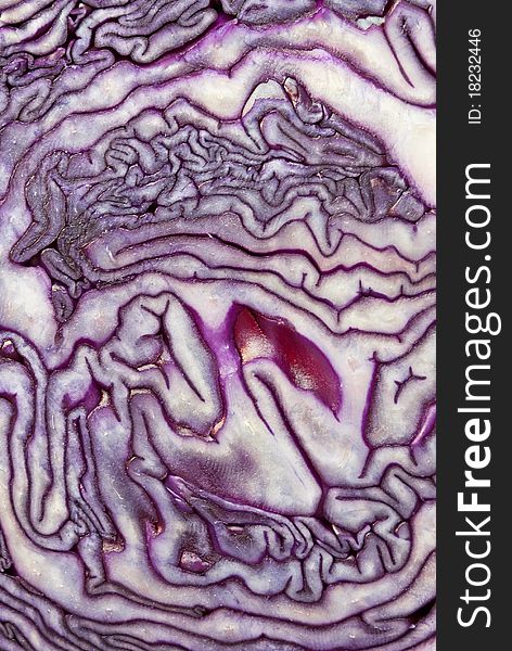 Cut of red cabbage, close up. Cut of red cabbage, close up