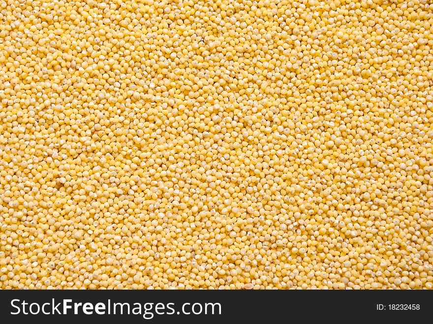 Yellow dry millet texture, may be used as background. Yellow dry millet texture, may be used as background