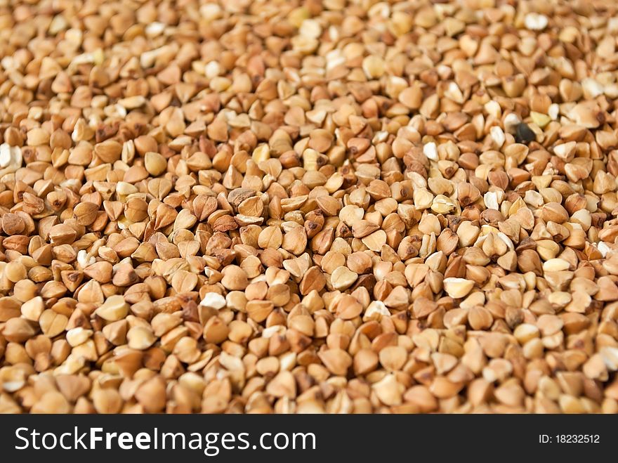 Buckwheat texture may be used as backdground. Buckwheat texture may be used as backdground