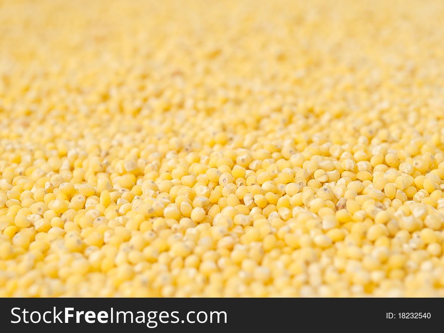 Yellow millet background, shallow depth of field