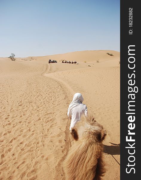 Camel trekking on desert in the noon. Camel trekking on desert in the noon