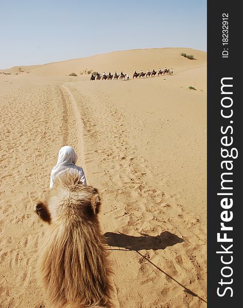 Camel trekking on desert in the noon. Camel trekking on desert in the noon