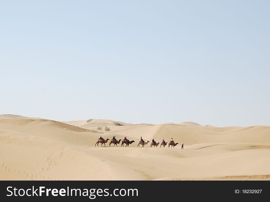 Camel trekking on desert in the noon. Camel trekking on desert in the noon