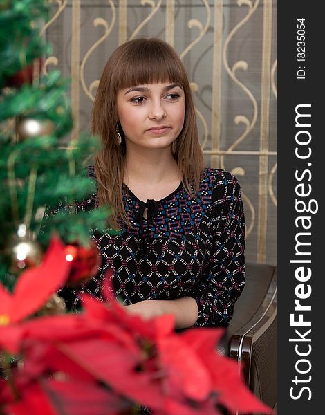 Portrait of a beautiful girl with a Christmas tree and red flower
