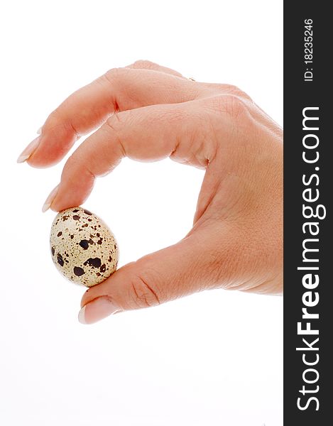 Nature diet quail egg in hand