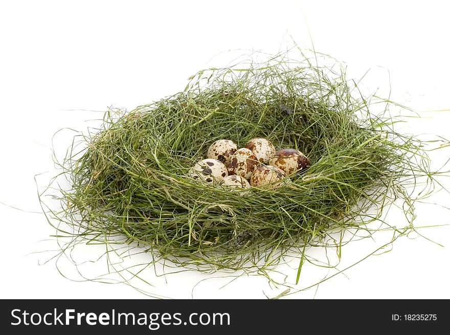 Nest with eggs on white background isolated