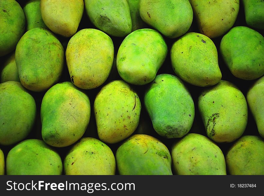 A lot of green mango fruit