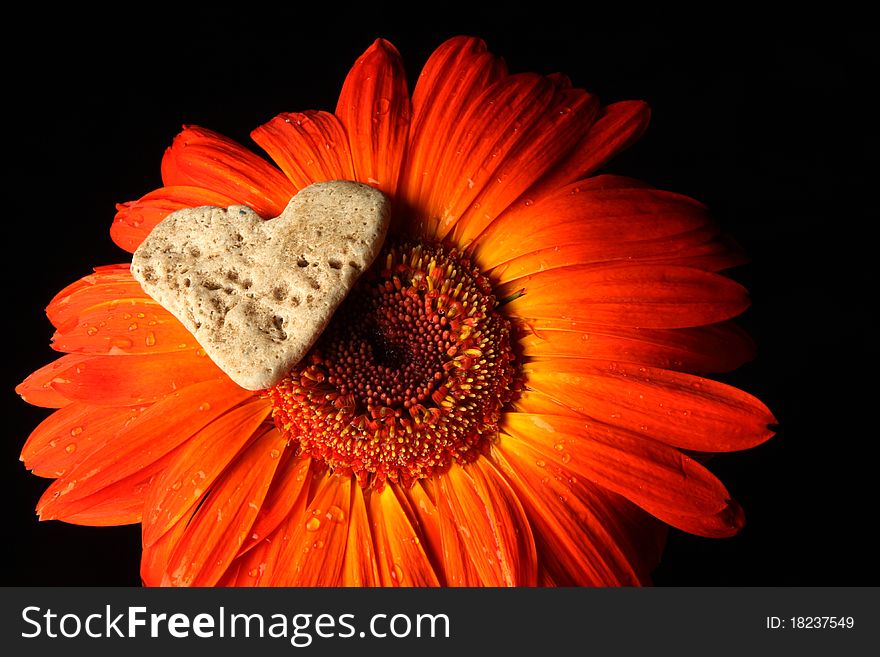 Red Flower and a heart. Red Flower and a heart