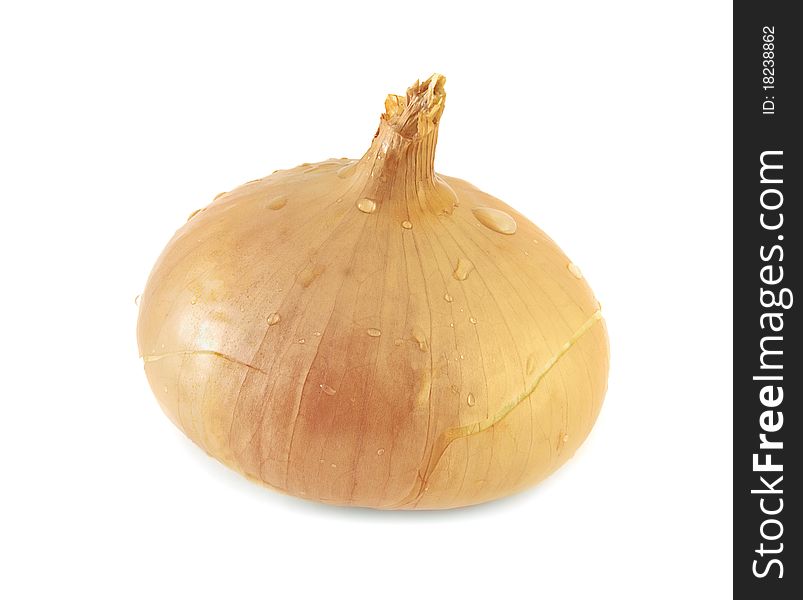 Yellow Onion