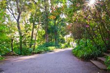 Walk Way With Sunbeam Royalty Free Stock Photos Walk Way With Sunbeam Royalty Free Stock Photos