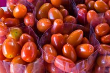 The Colorful Of Tomatos Royalty Free Stock Photos The Colorful Of Tomatos Royalty Free Stock Photos