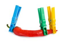 Red Chili Pepper Royalty Free Stock Photography Red Chili Pepper Royalty Free Stock Photography