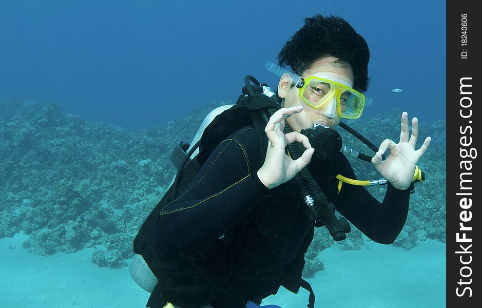 Scuba divers and coral in the blue ocean