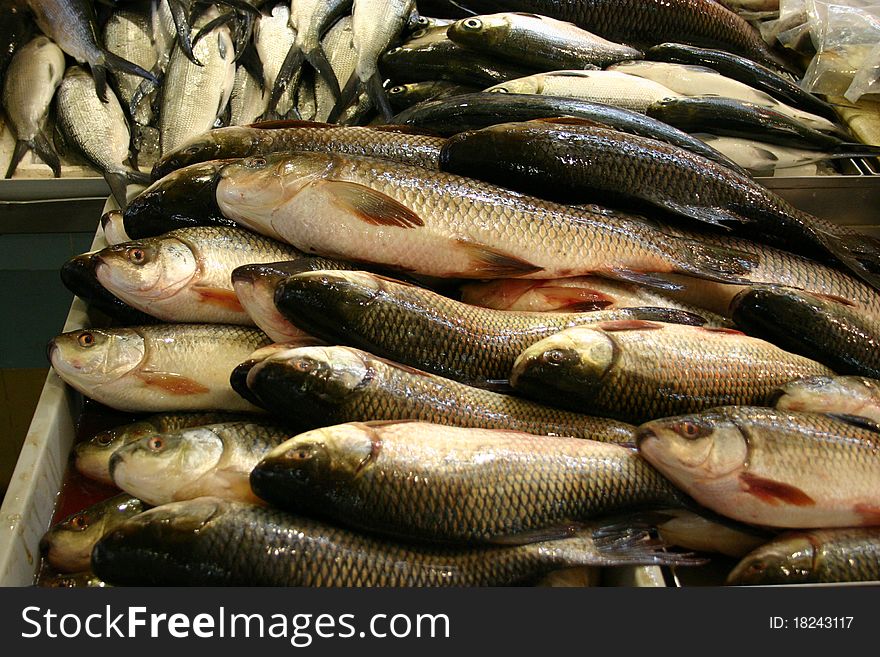 Fish on the fish market