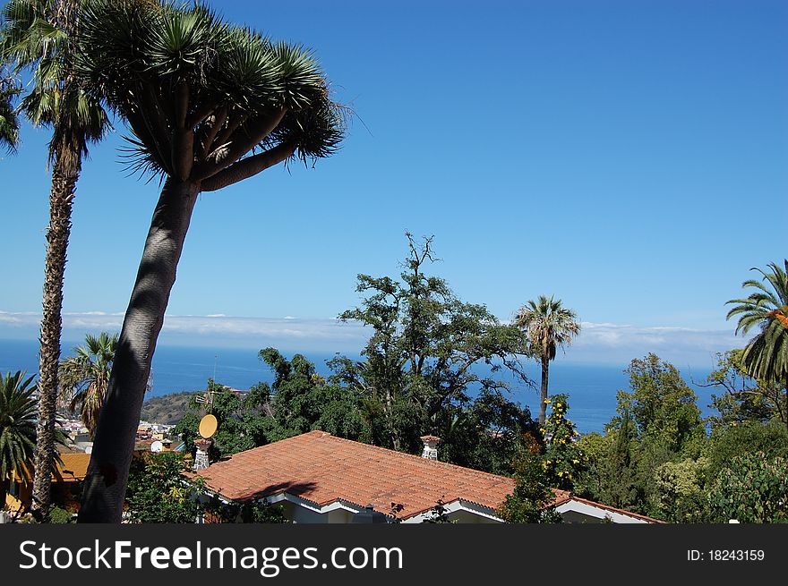 A nice view from the village of Puerto de la Cruz towards the Atlantic Ocean at the island Tenerife.
