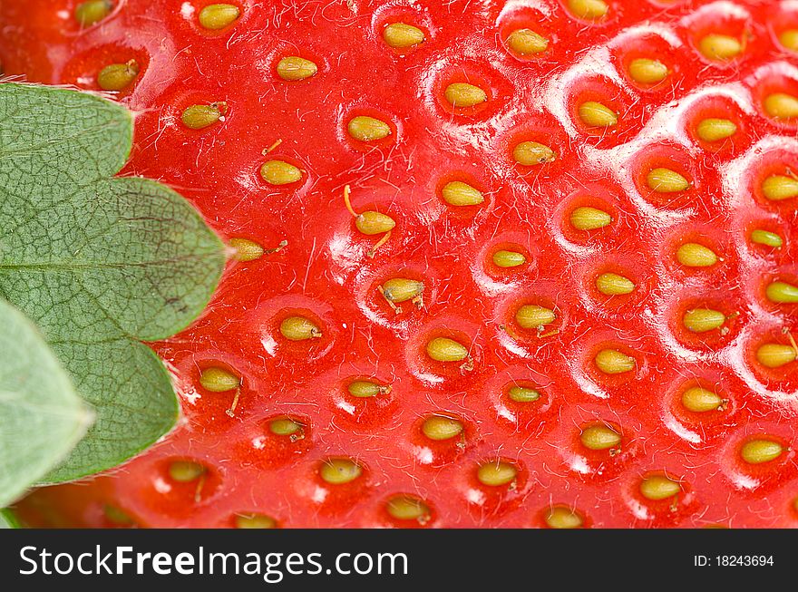 Green leaf and juicy strawberry in the background