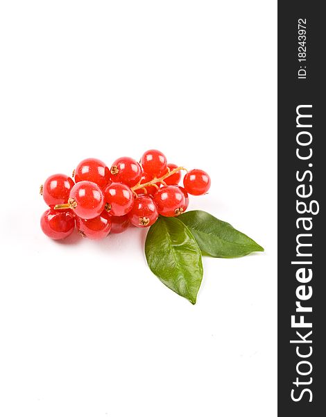 Photo of currants on white background
