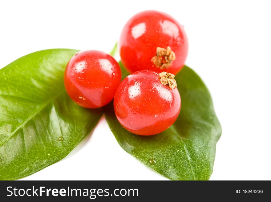 Photo of currants on white background