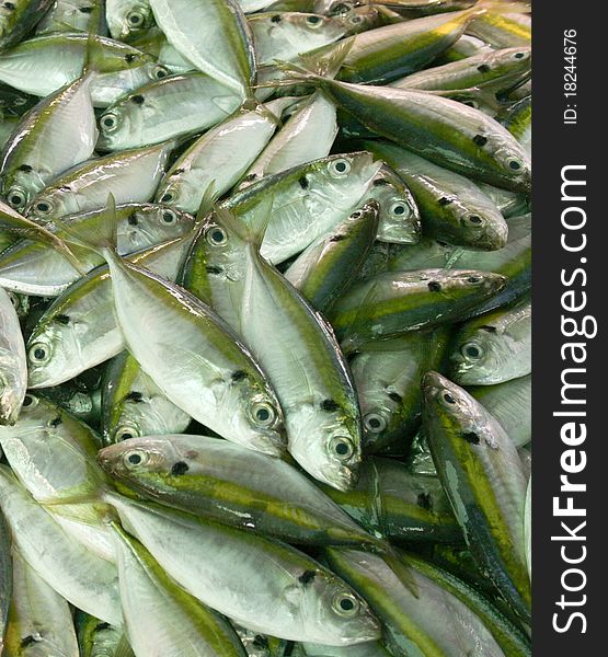 Fresh fish for sale at a Thai market. Fresh fish for sale at a Thai market