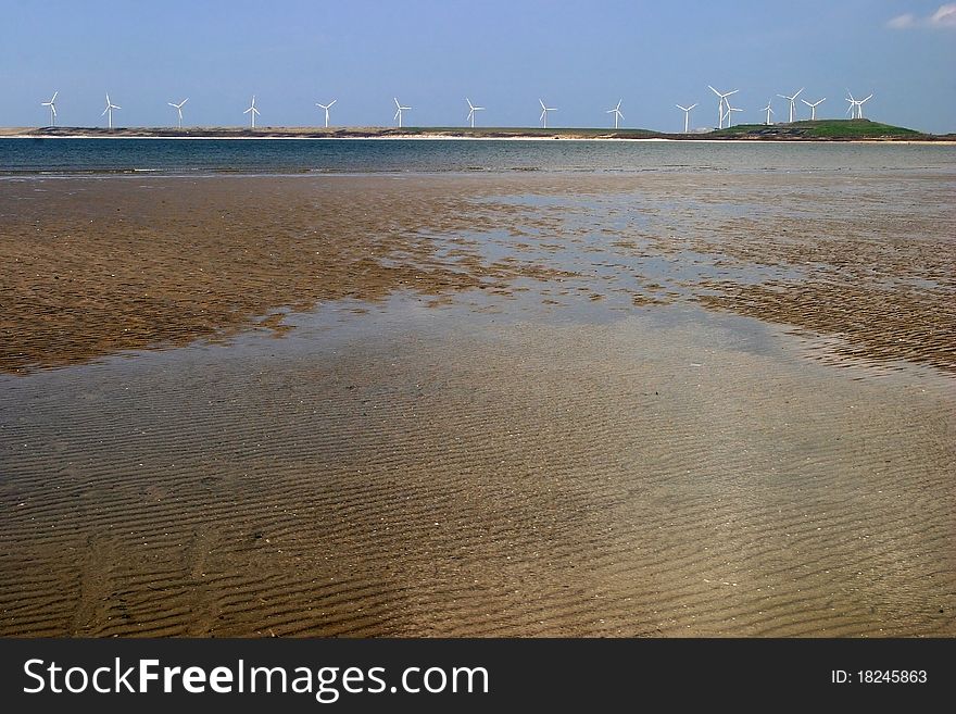 Windmills On Coastline