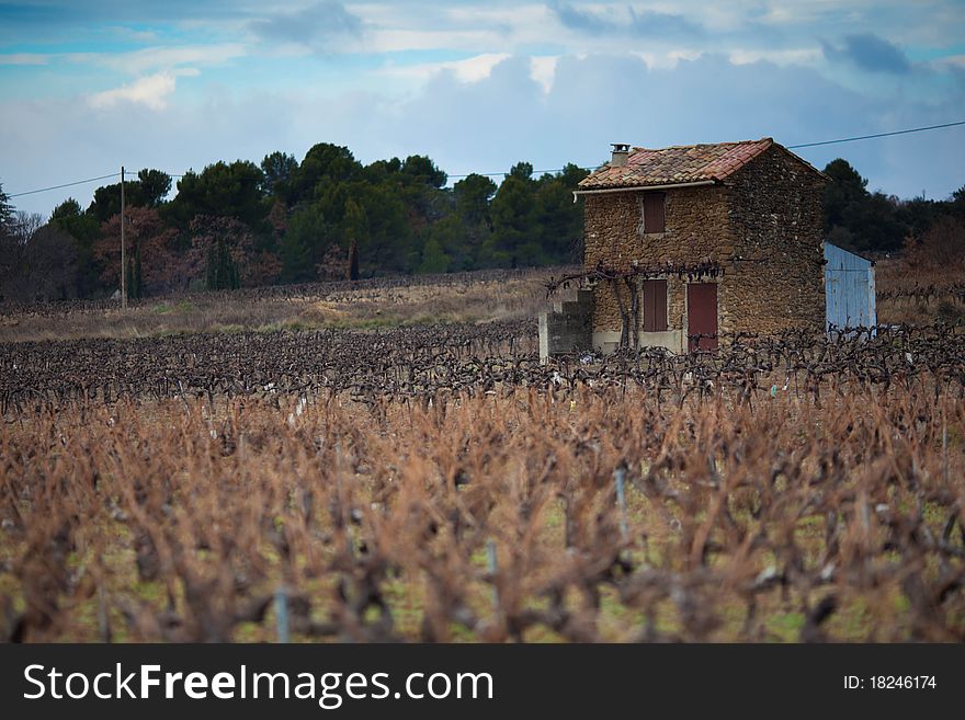 A lone French House in a Provence Vineyard. A lone French House in a Provence Vineyard