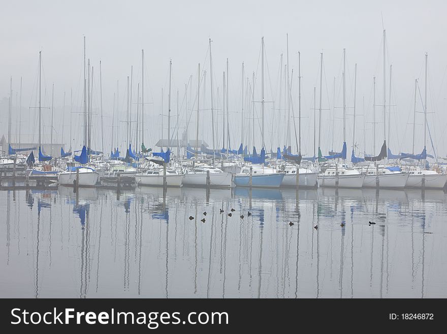 Beautiful sailboat harbor in the fog with reflections in lake and ducks swimming. Beautiful sailboat harbor in the fog with reflections in lake and ducks swimming