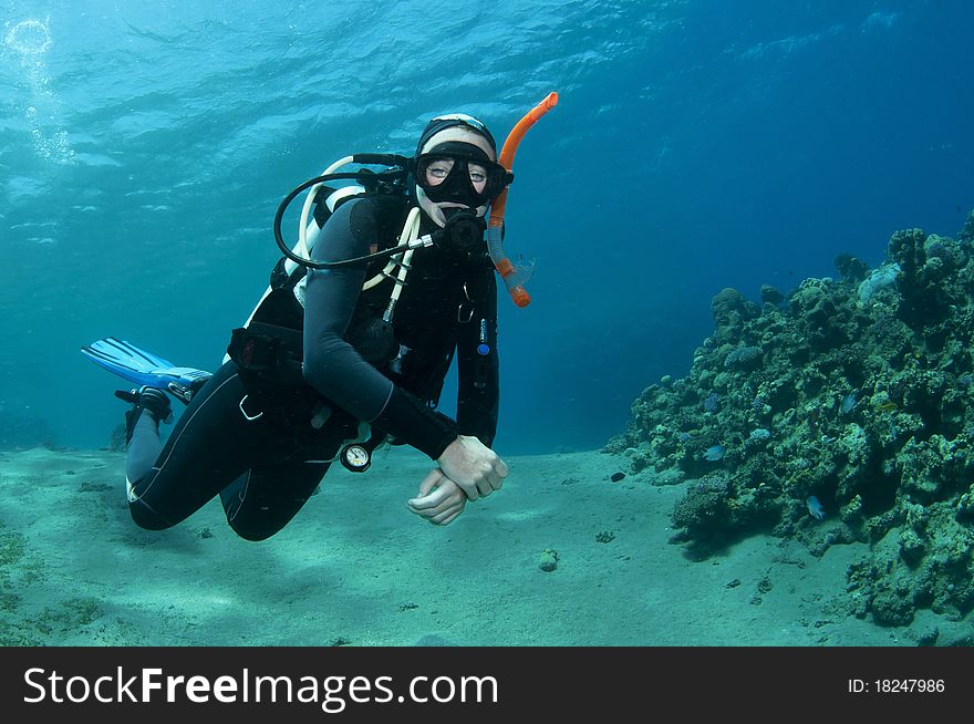 Scuba diver on coral reef