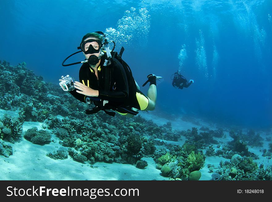 Scuba divers on coral reef