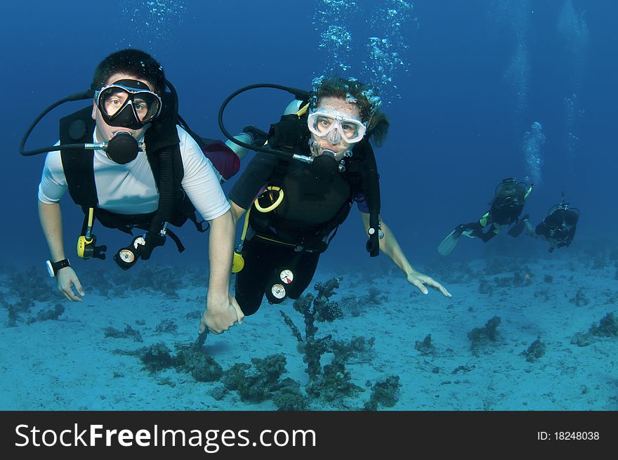 Scuba divers swim in ocean. Scuba divers swim in ocean