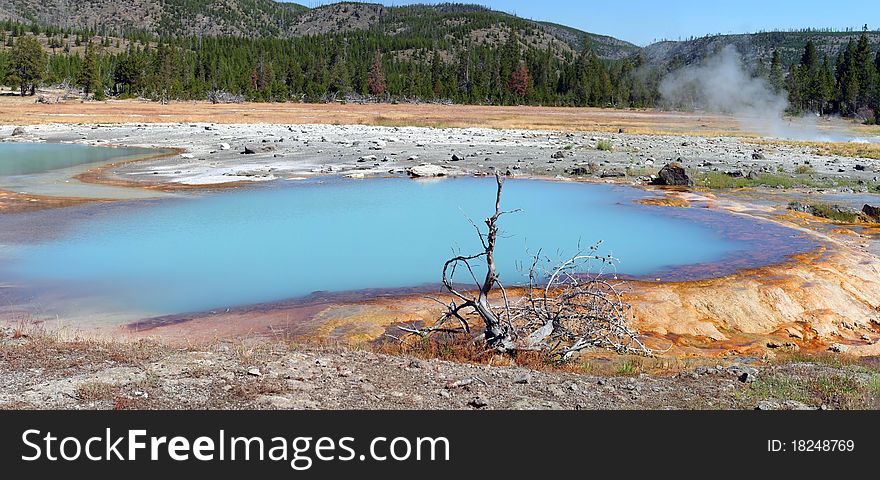Yellowstone. Black opal pool. Panorama.