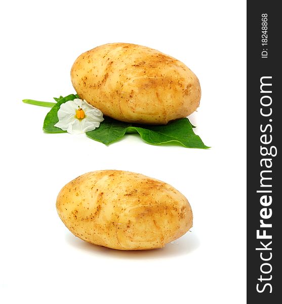 New potatoes isolated on a white background