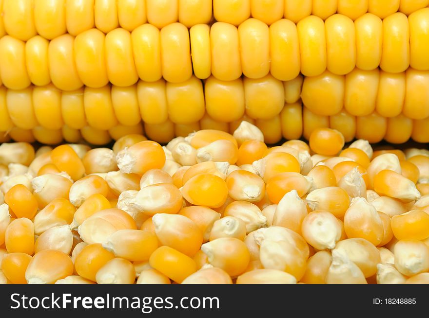 A close-up shot of corn kernels and a cormcob. A close-up shot of corn kernels and a cormcob