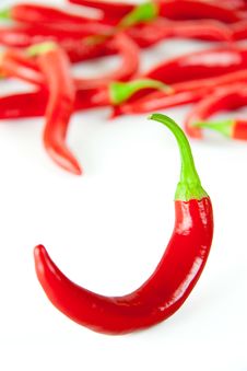Red Hot Chili Pepper Stock Image Red Hot Chili Pepper Stock Image
