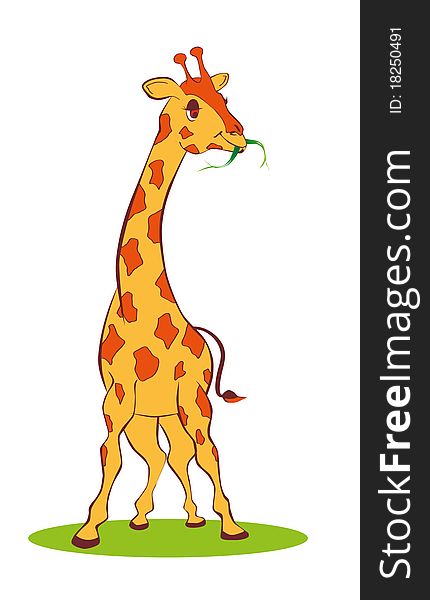 Cute  giraffe with grass