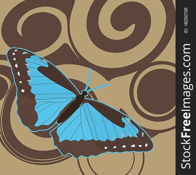 Blue butterfly on the beige background