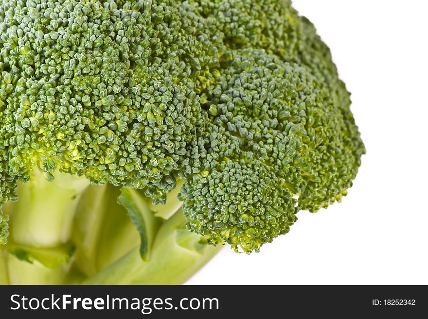 Macro of broccoli head across white