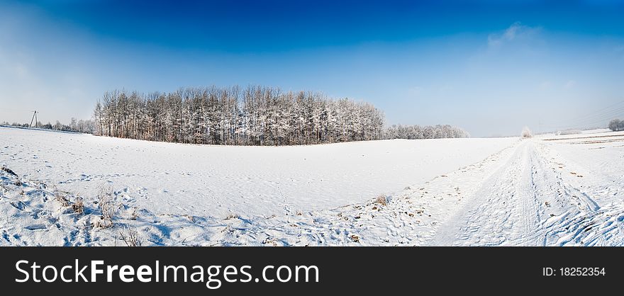 Winter field panorama