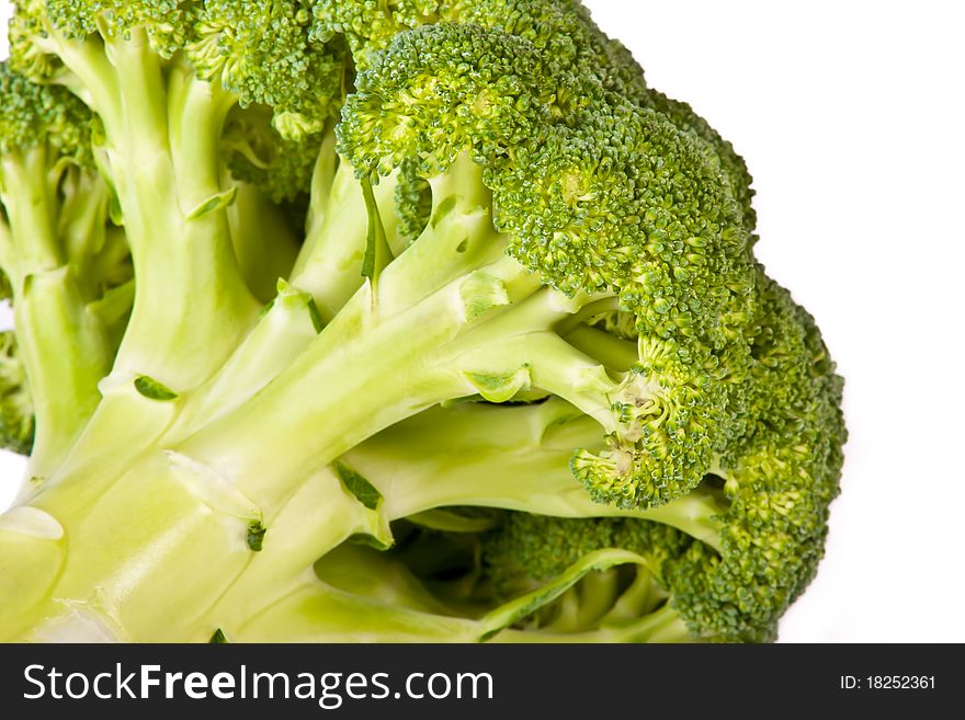 Macro of broccoli head across white