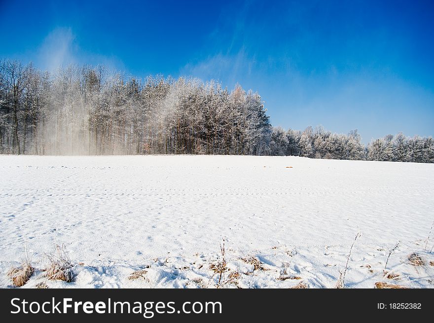 Snowstorm On The Winter Field Panorama