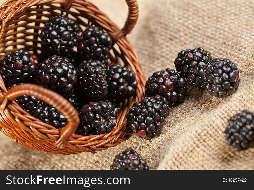 Blackberries from basket on sackcloth