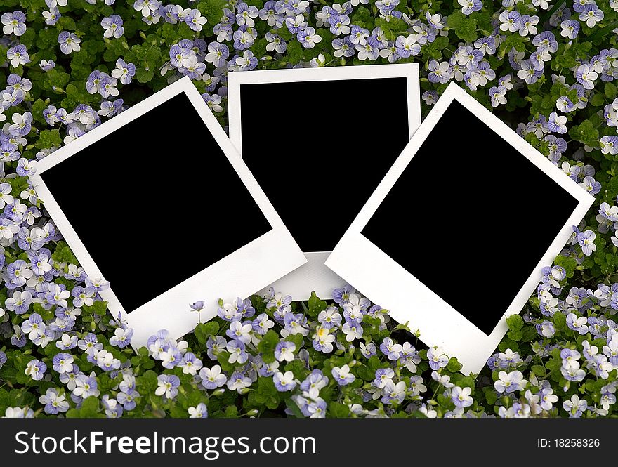 Blank photo on floral background
