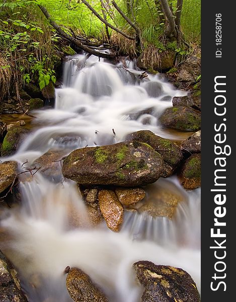 Stream in wood with small thresholds