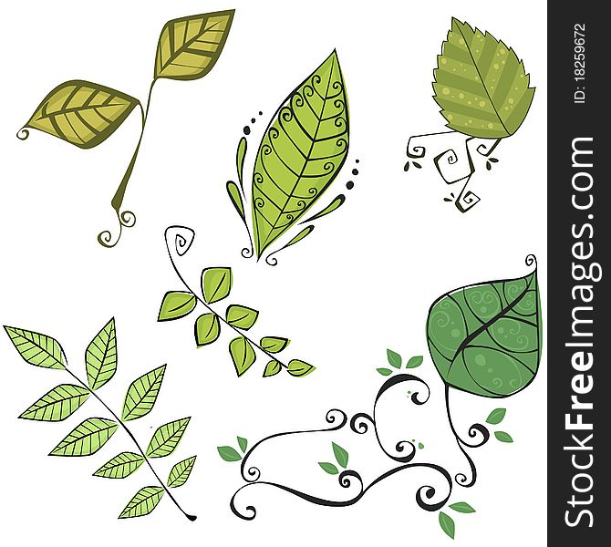 Vector illustration of different types of hand drawn leaves retraced and coloured in illustrator. Vector illustration of different types of hand drawn leaves retraced and coloured in illustrator.