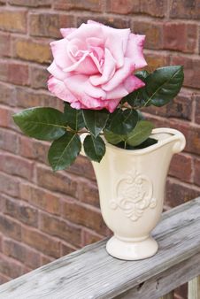 Pink Rose In Vase Royalty Free Stock Image