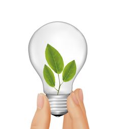 Plant Inside Light Bulb In Hand. Vector Royalty Free Stock Images Plant Inside Light Bulb In Hand. Vector Royalty Free Stock Images
