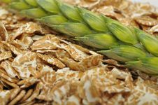 Wheat Flakes And Ear Of Wheat Royalty Free Stock Image Wheat Flakes And Ear Of Wheat Royalty Free Stock Image