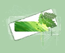 Green Banner With Oak Leaves Stock Image Green Banner With Oak Leaves Stock Image